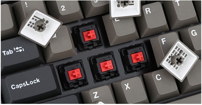 Switch của Bàn phím cơ Leopold FC900R 5/17 Black Coffee PBT Blue switch