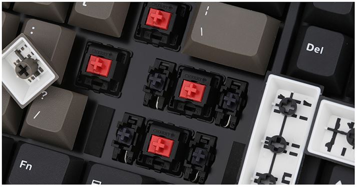 Switch của Bàn phím cơ Leopold FC900R 5/17 Black Coffee PBT Brown switch