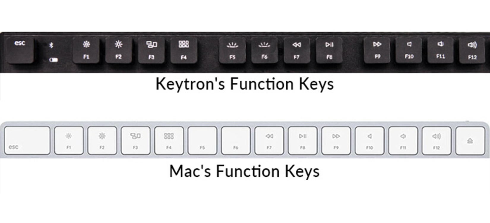 Bàn phím cơ Keychron K1 M1 (Gateron Red switch/USB/RGB) hỗ trợ tốt cho MAC
