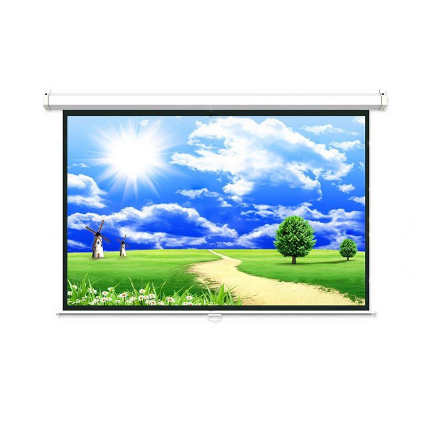 Màn chiếu treo tường Dalite P50WS ( 1m25 x 1m25 ) - 50 inch