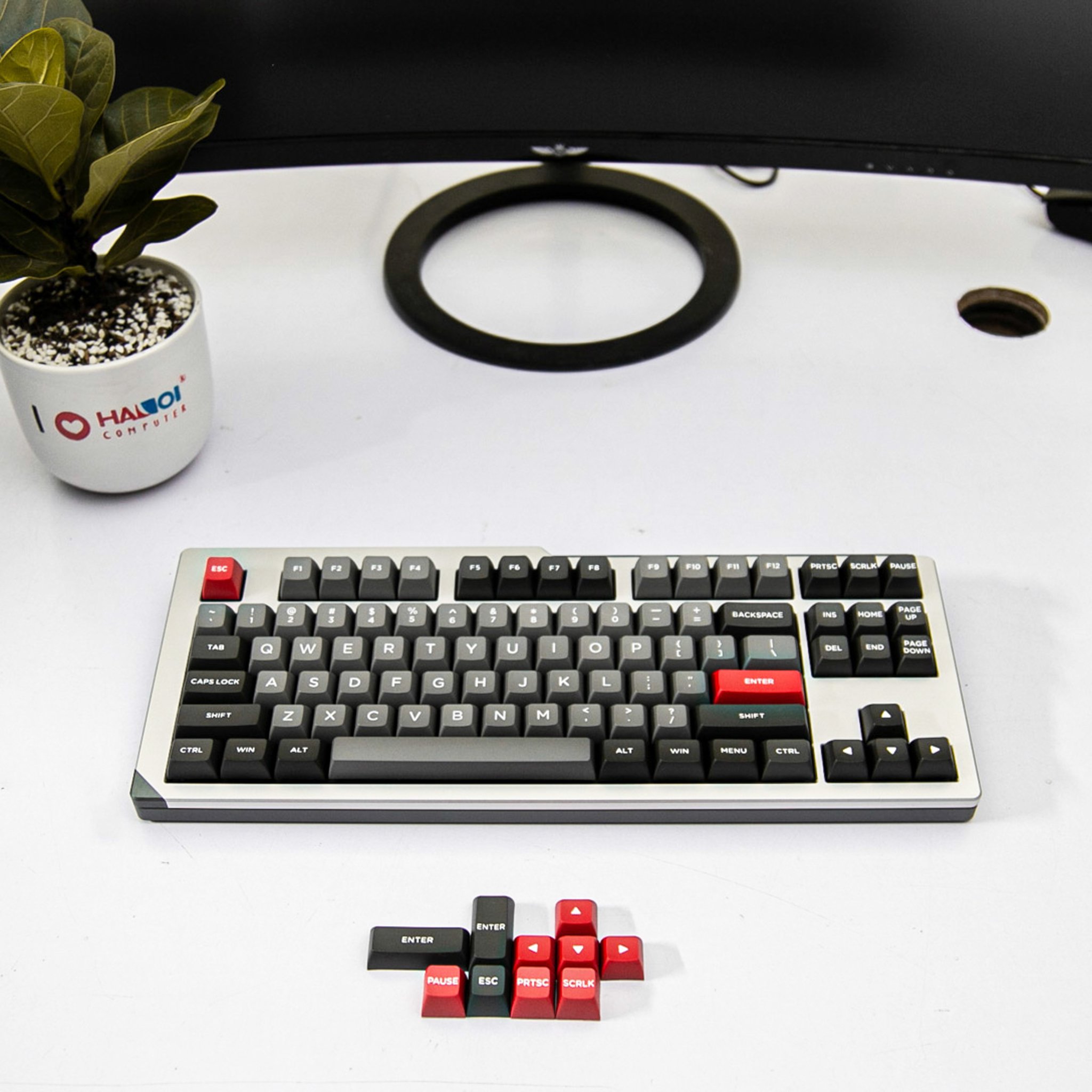Bàn phím cơ Akko Designer Studio MOD001 Psittacus Cherry Red switch