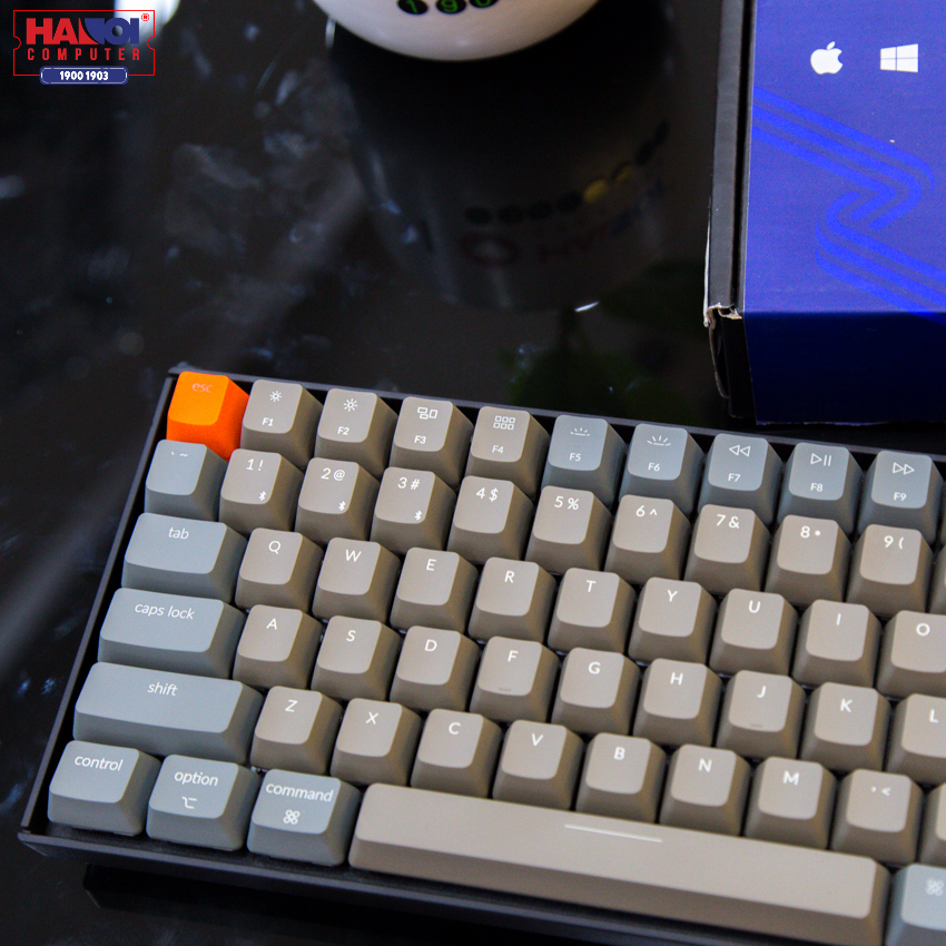 Bàn phím cơ Keychron K4 D1 (USB/Gateron Red sw/Led trắng)