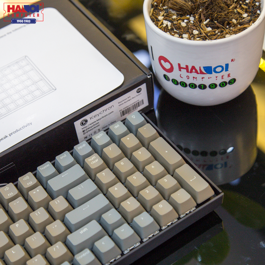 Bàn phím cơ Keychron K4 D2 (ver2 Gateron Blue switch/nhựa/đơn led)