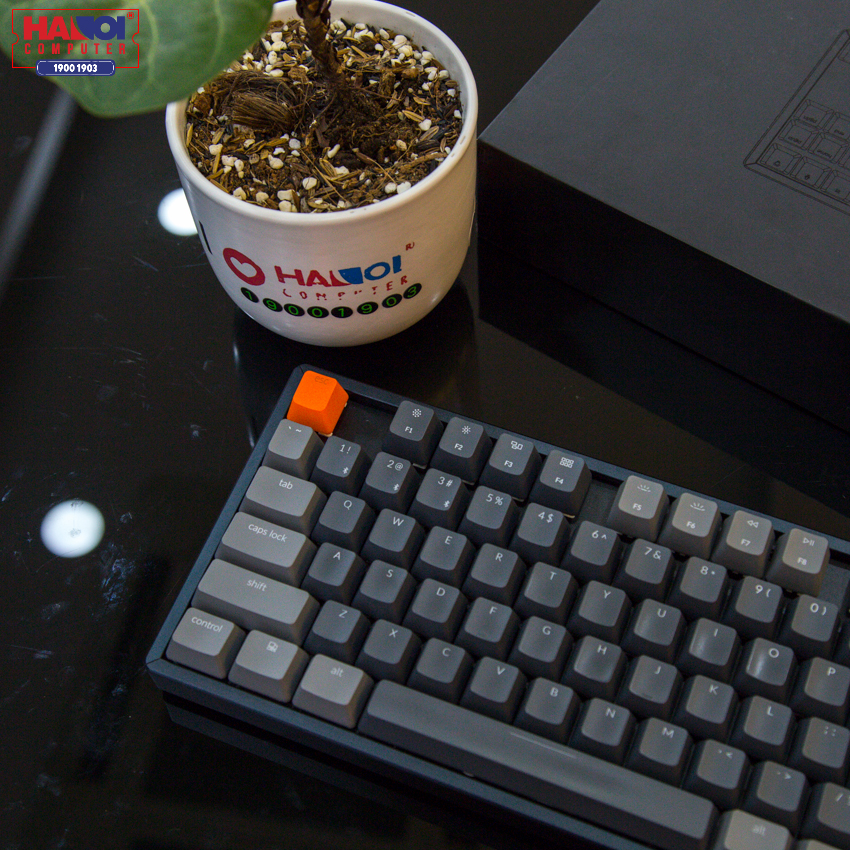 Bàn phím cơ Keychron K8 J3 (Gateron Brown switch/nhôm/RGB/Hotswap)