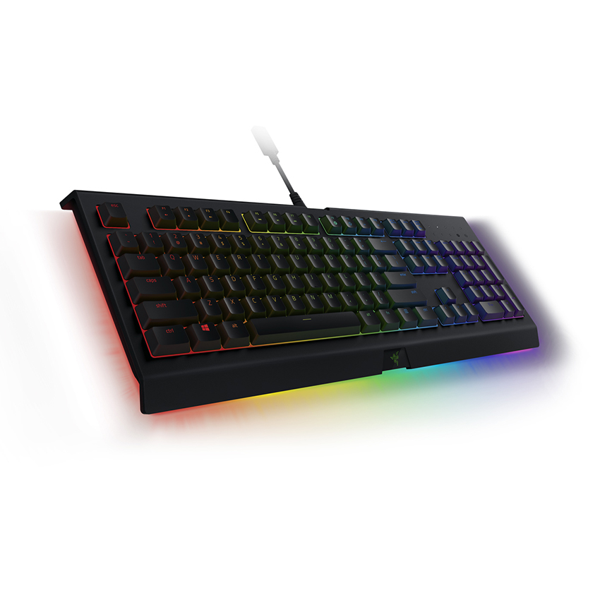 Bàn phím Razer Cynosa V2 Chroma (USB/RGB/Đen) (RZ03-03400100-R3M1)