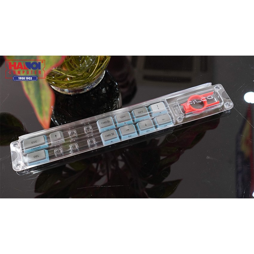 Bàn phím cơ Không dây Filco Majestouch Minila Air-R Convertible Asagi (Bluetooth/Black switch) (FFBTR63ML/EAG)