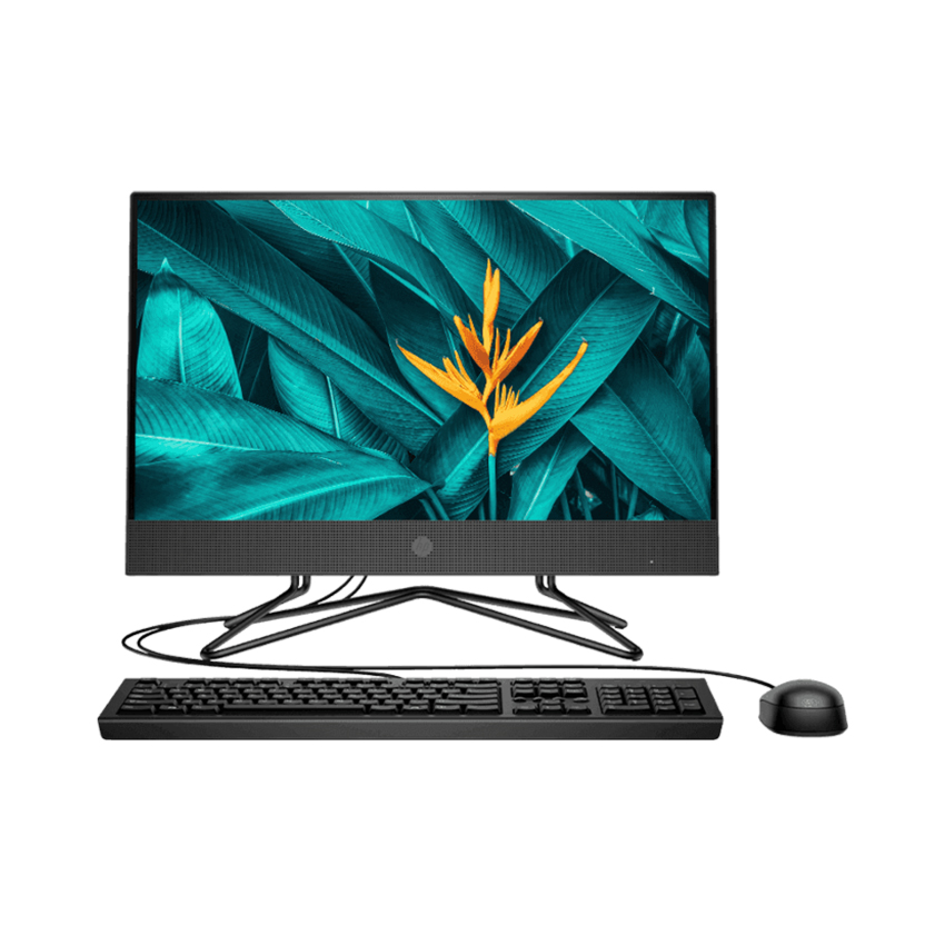 PC HP All in One 205 Pro G4 (Ryzen 5 4500U/8GB RAM/256GB SSD/21.5 inch FHD/DVDRW/WL+BT/K+M/Win 10) (31Y60PA)