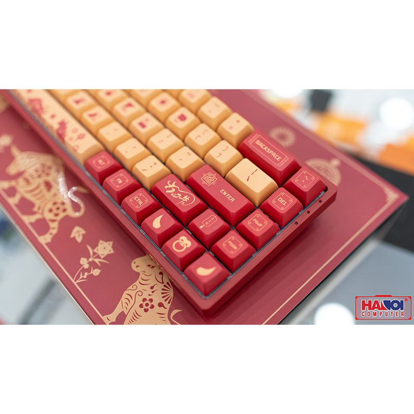 Bàn phím không dây Akko 3068 V2 Year Of Ox Ocean Blue (Bluetooth/RGB/PBT/Akko CS sw)